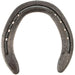 Eventer eel Unclipped 2 Hind (Pair)