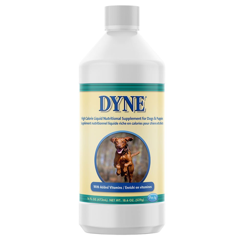 Dog Performance Supplements