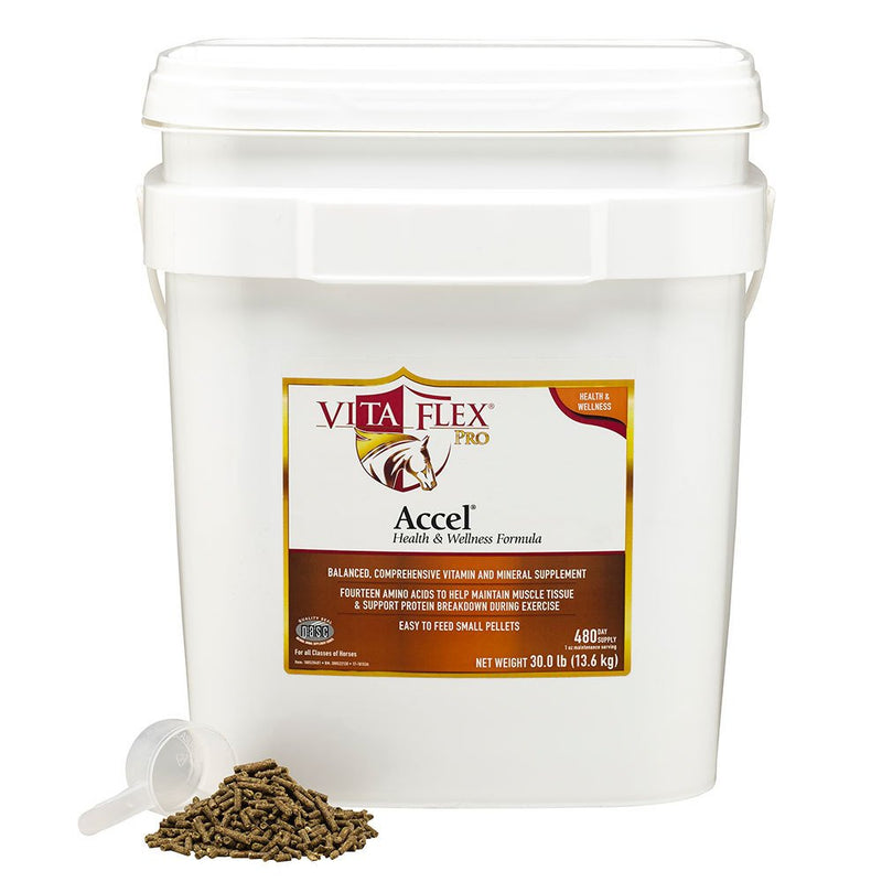 Pro Accel Health & Wellness Formula Supplement