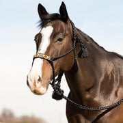 Cowboy Braided Black Halter and Lead