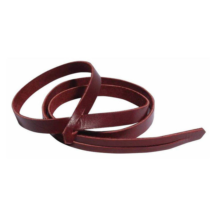 Professionals Choice Latigo Rope Holder