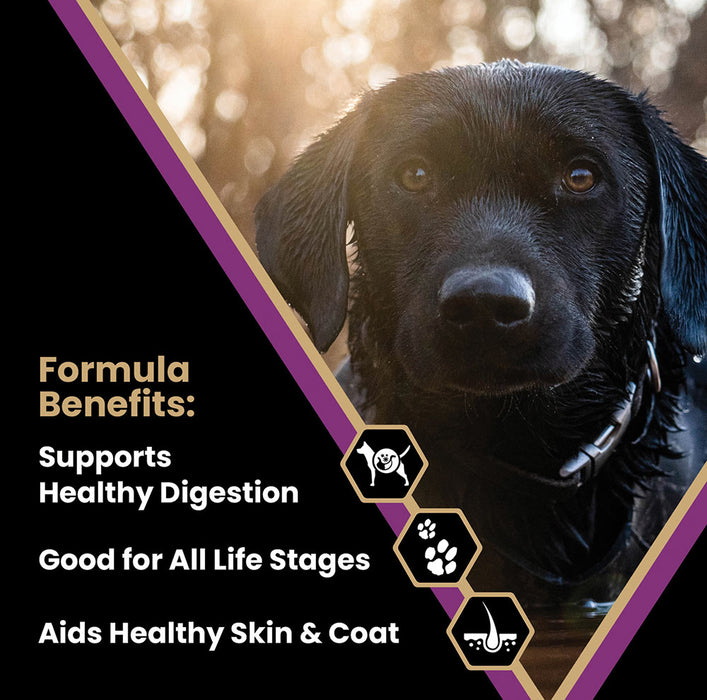 Victor Pet Food Professional 40 LB