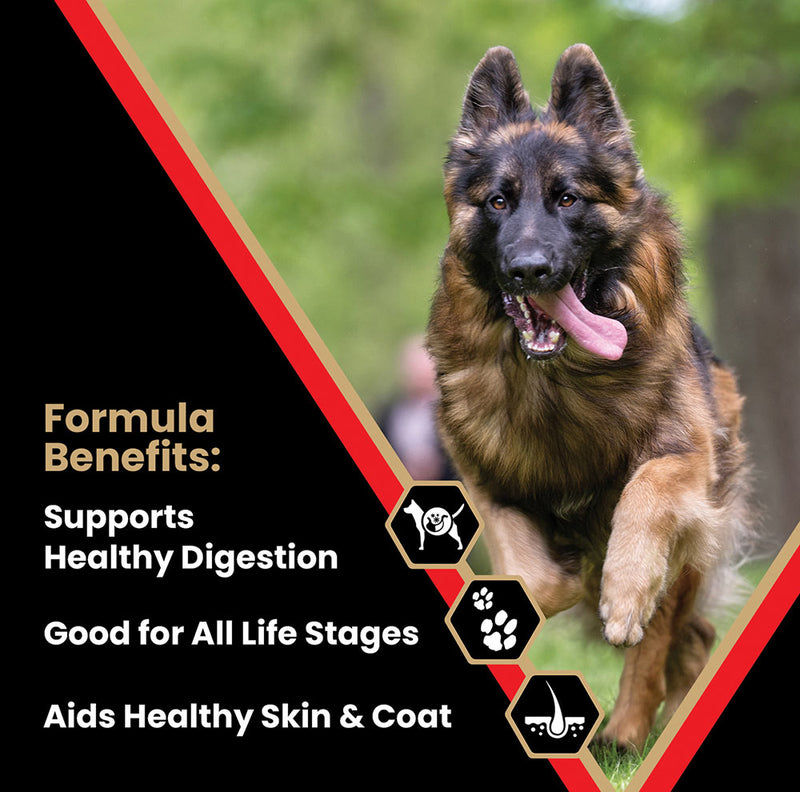 Victor Pet Food High Energy 40 LB