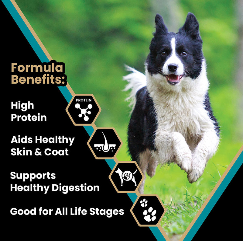 Victor Pet Food Hi- Pro Plus Active Dog And Puppy