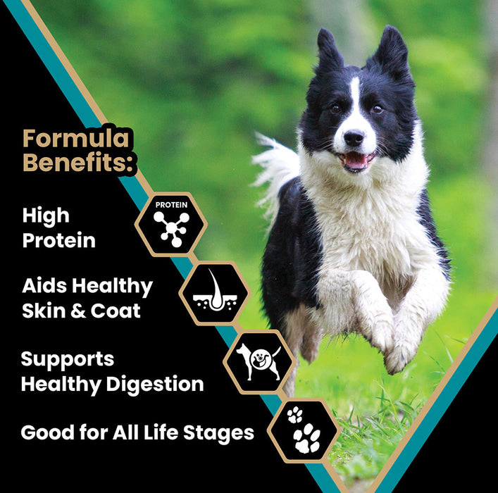 Victor Pet Food Hi- Pro Plus Active Dog And Puppy