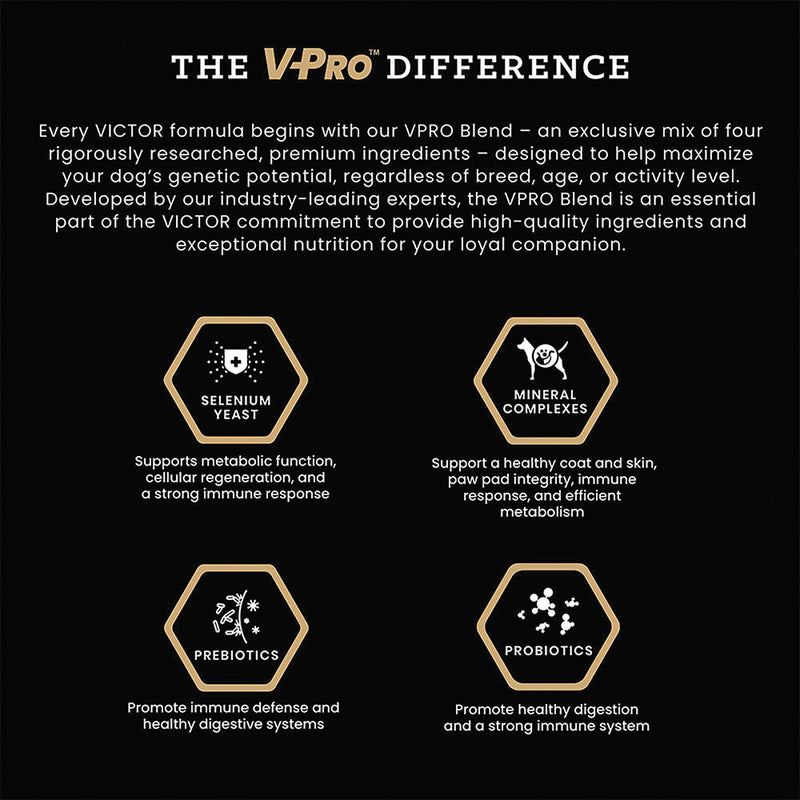 Victor Pet Food Hi- Pro Plus Active Dog And Puppy