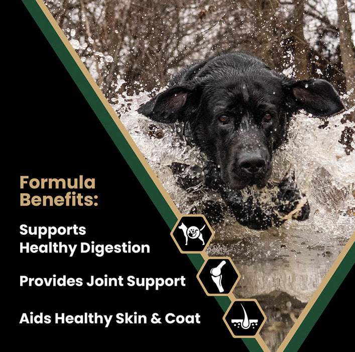 Victor Pet Food Performance Plus
