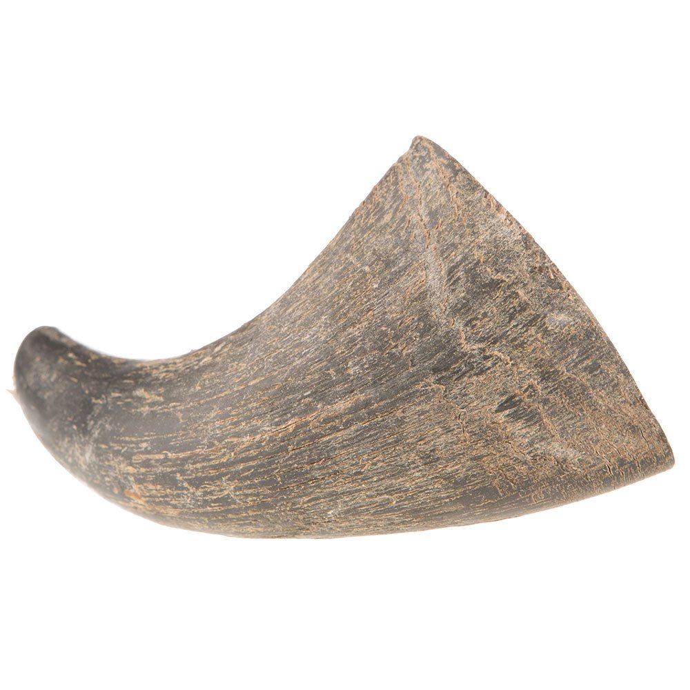 Qt Dog Buffalo Horns