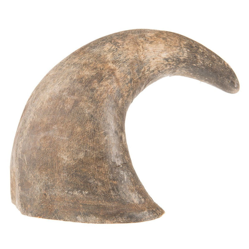 Large Buffalo Horn