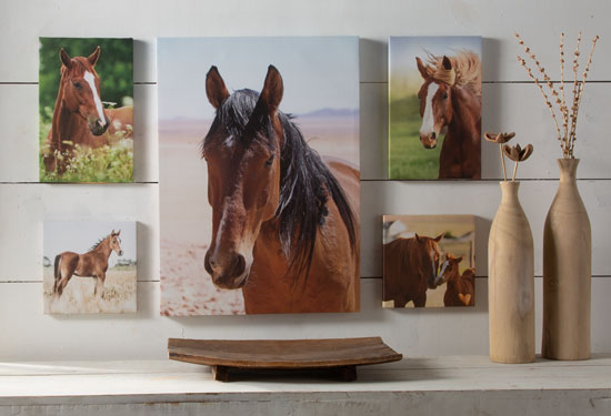NRS Lots of Horses Canvas Collage Set of 5