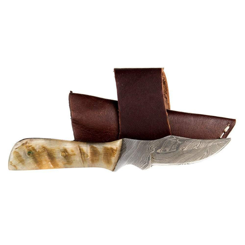 Western Fashion Damascus Mini Ram Horn Bone Handle Knife w/Sheath
