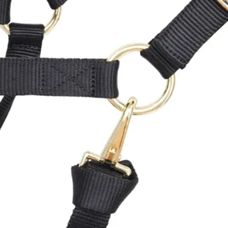 Reinsman Deluxe Black Nylon Average Halter