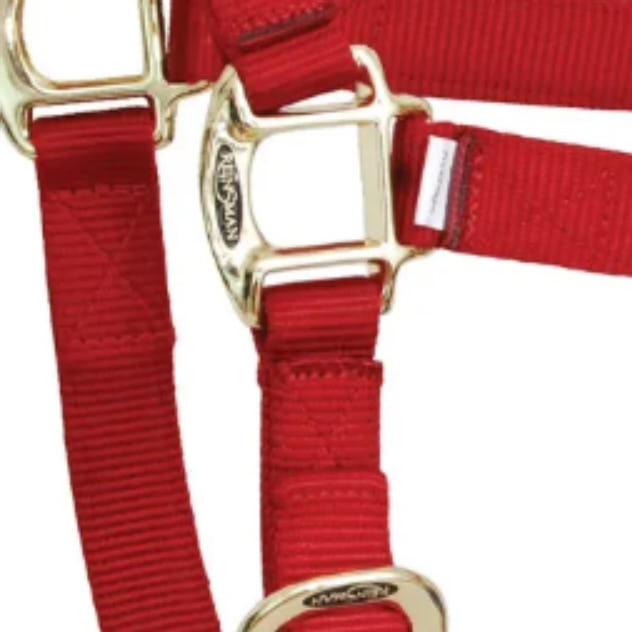 Reinsman Deluxe Dark Red Nylon Halter