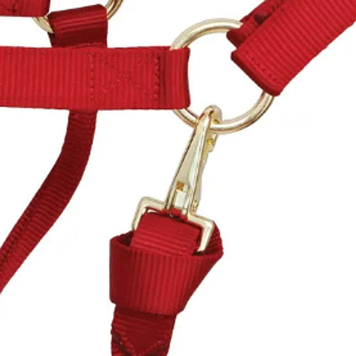 Reinsman Deluxe Dark Red Nylon Halter