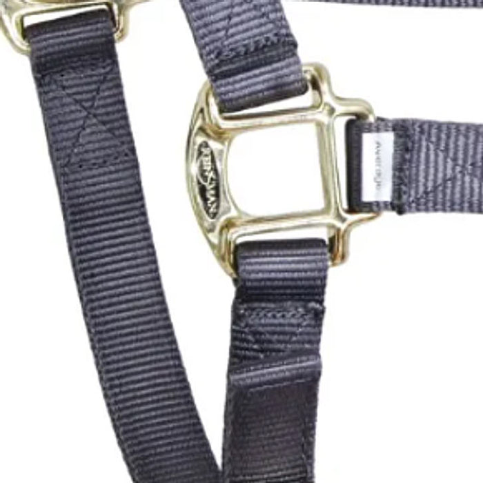 Reinsman Deluxe Grey Nylon Halter