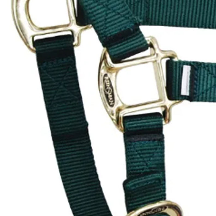 Reinsman Deluxe Hunter Green Nylon Halter