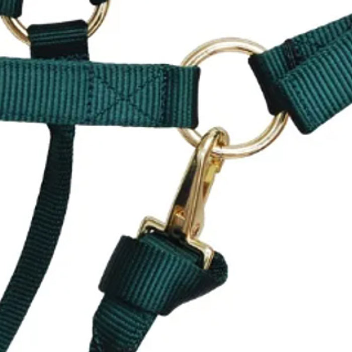 Reinsman Deluxe Hunter Green Nylon Halter