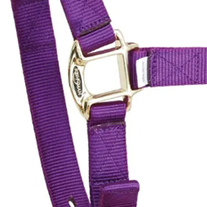 Reinsman Deluxe Purple Nylon Halter