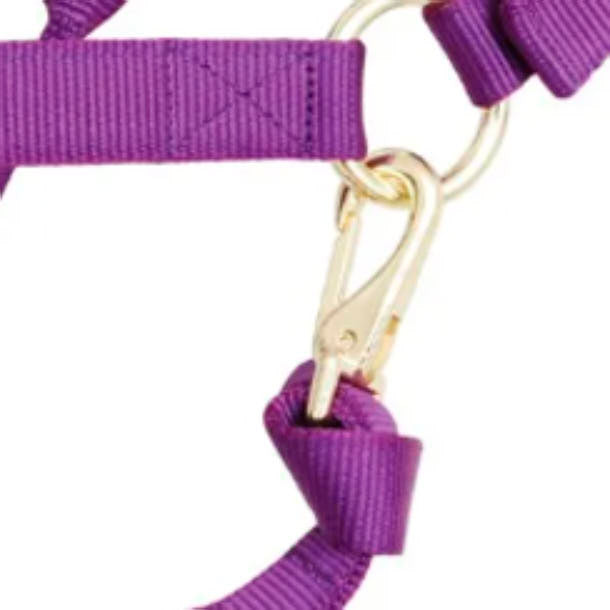 Reinsman Deluxe Purple Nylon Halter