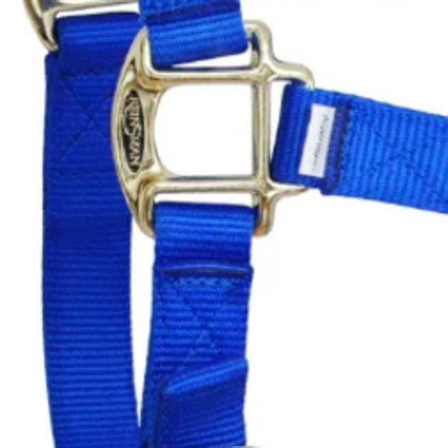 Reinsman Deluxe Royal Blue Nylon Halter