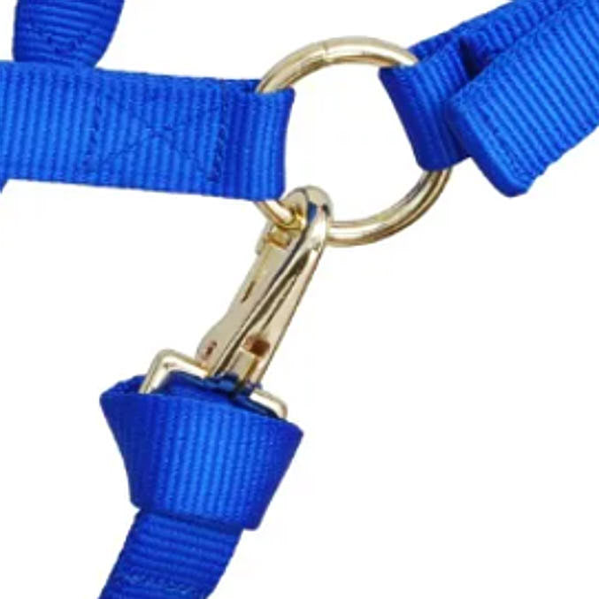 Reinsman Deluxe Royal Blue Nylon Halter