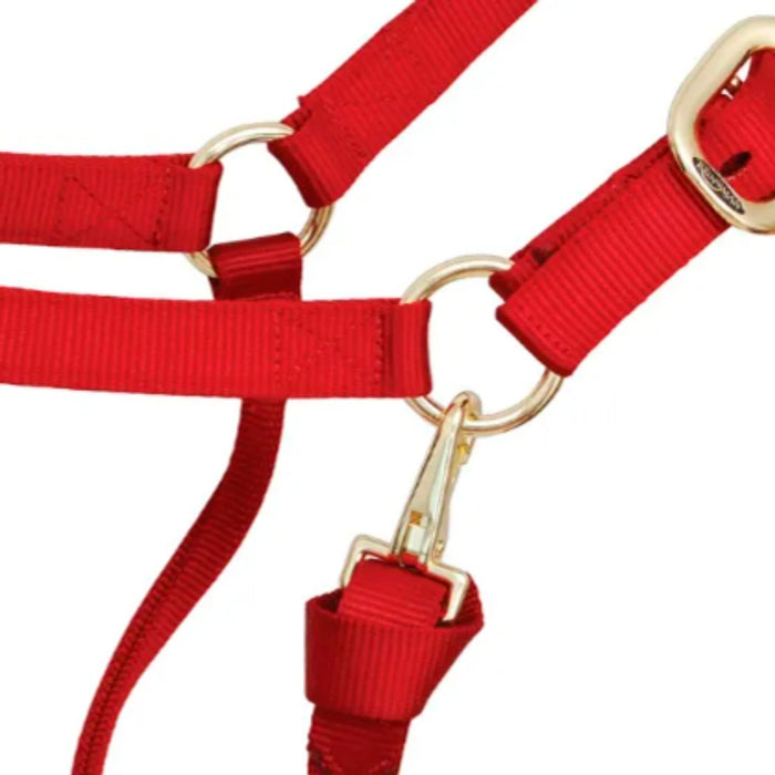 Reinsman Deluxe Red Nylon Halter