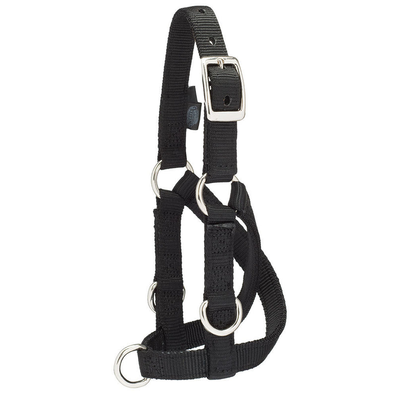 Leather Small Sheep/Goat Training Halter