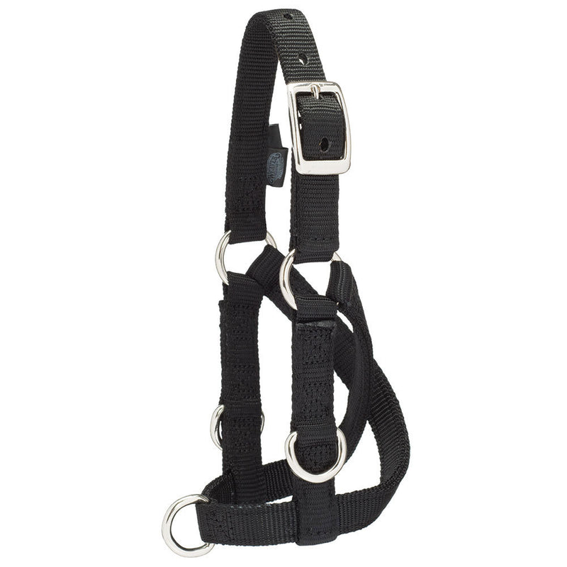Leather Sheep/Goat Medium Training Halter
