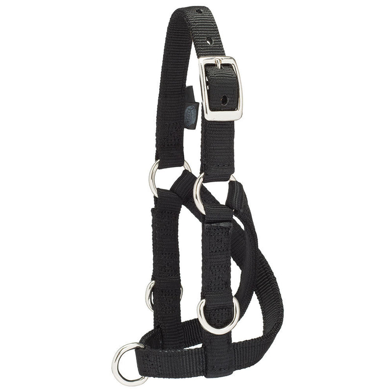 Leather Sheep/Goat Large Training Halter