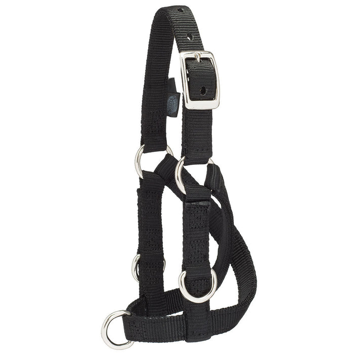 Leather Sheep/Goat Large Training Halter