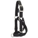Leather Sheep/Goat Large Training Halter