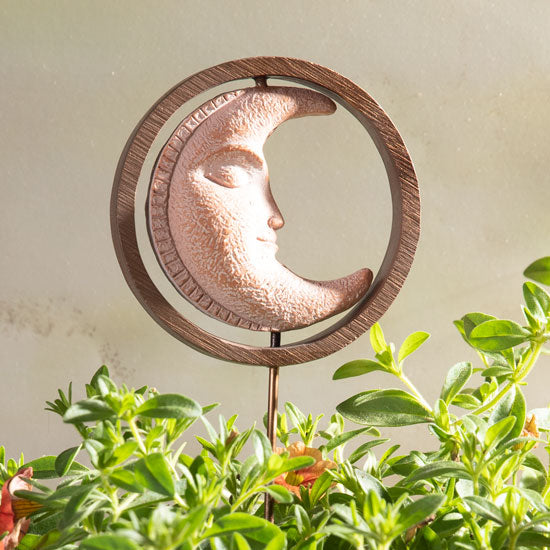 Ganz Sun and Moon Plant Picks