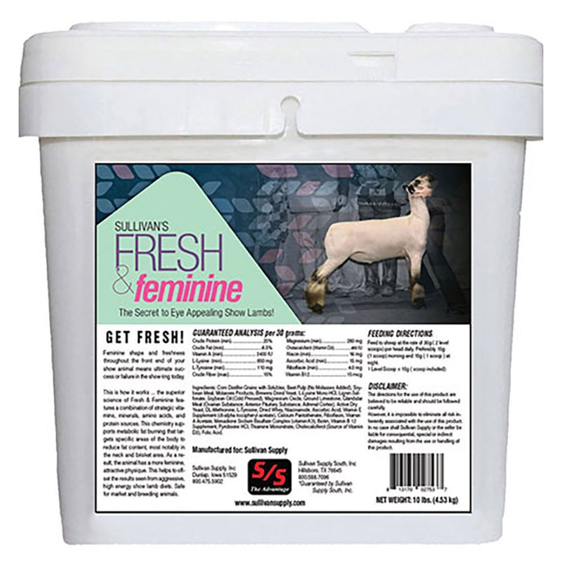 Fresh and Feminine - Sheep