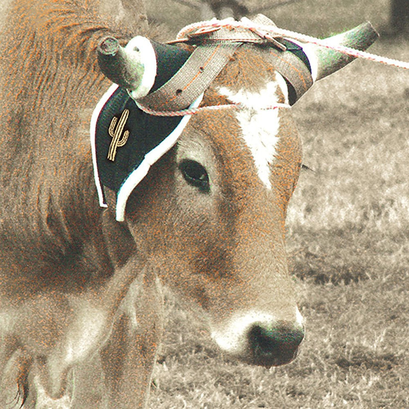 Ropes Deluxe Horn Wrap