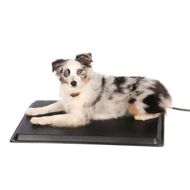 Api Plastic Heated Pet Mat 23x29 Large