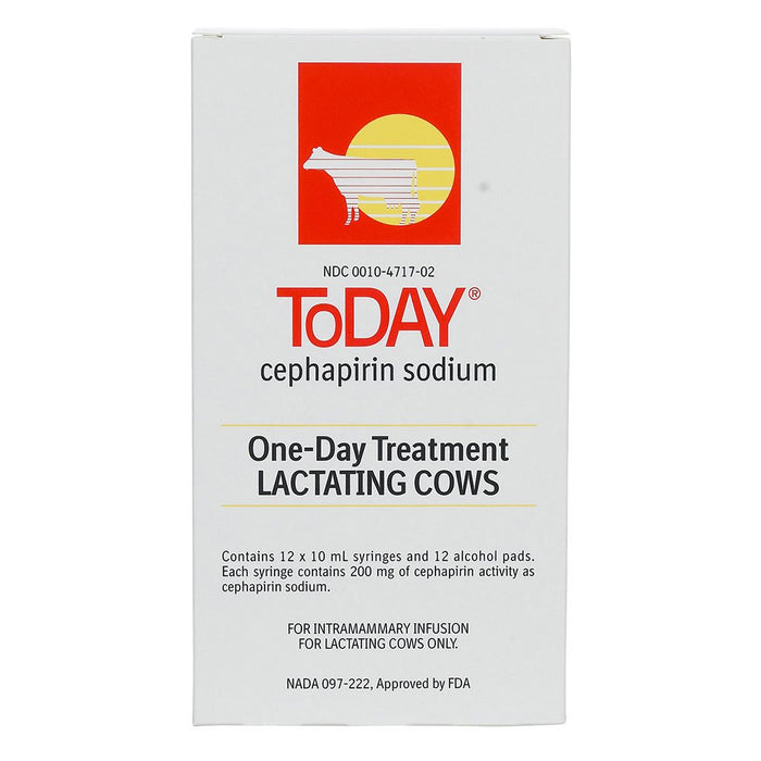 Boehringer Ingelheim ToDAY Mastitis Treatment 10mL