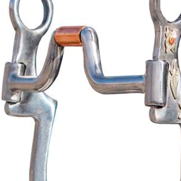 Professionals Choice Bob Avila Byron Shank Swivel Port Bit