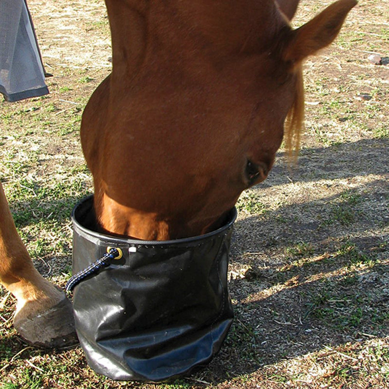 Cashel Company Collapsible Water Pail