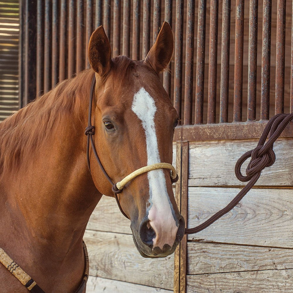 Classic Equine Rope Nose Halter with Lead- Black