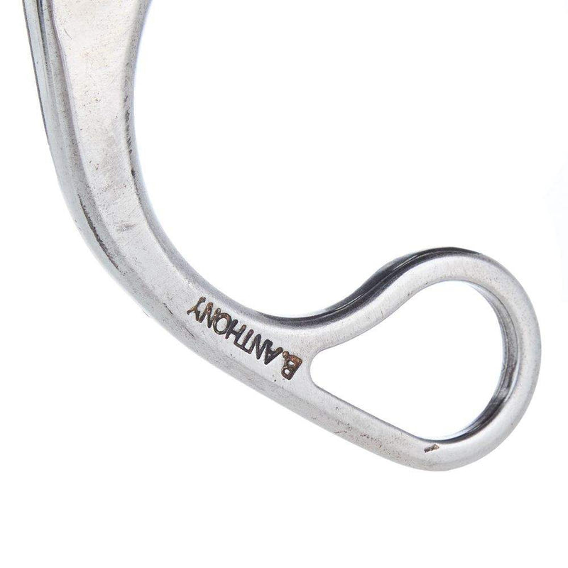 Brandon Anthony Bit & Spur Co. Silver Engraved Small Correctional Port Shank Bit