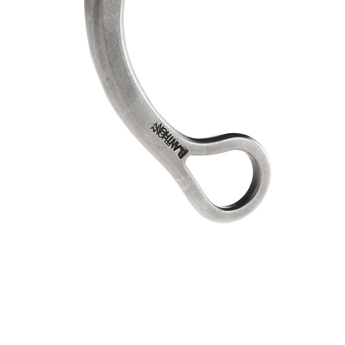 Brandon Anthony Bit & Spur Co. rection Port with Cricket Shank Bit