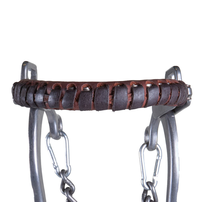 Brandon Anthony Engraved Silver Bar Long Shank Hackamore
