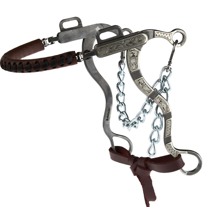 Brandon Anthony Bit & Spur Co. Engraved Silver Bar Short Shank Hackamore