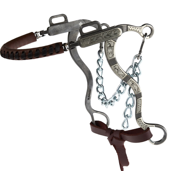 Brandon Anthony Bit & Spur Co. Engraved Silver Bar Short Shank Hackamore