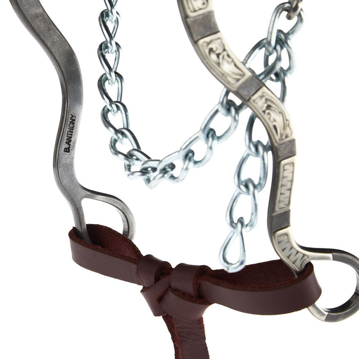 Brandon Anthony Bit & Spur Co. Engraved Silver Bar Short Shank Hackamore
