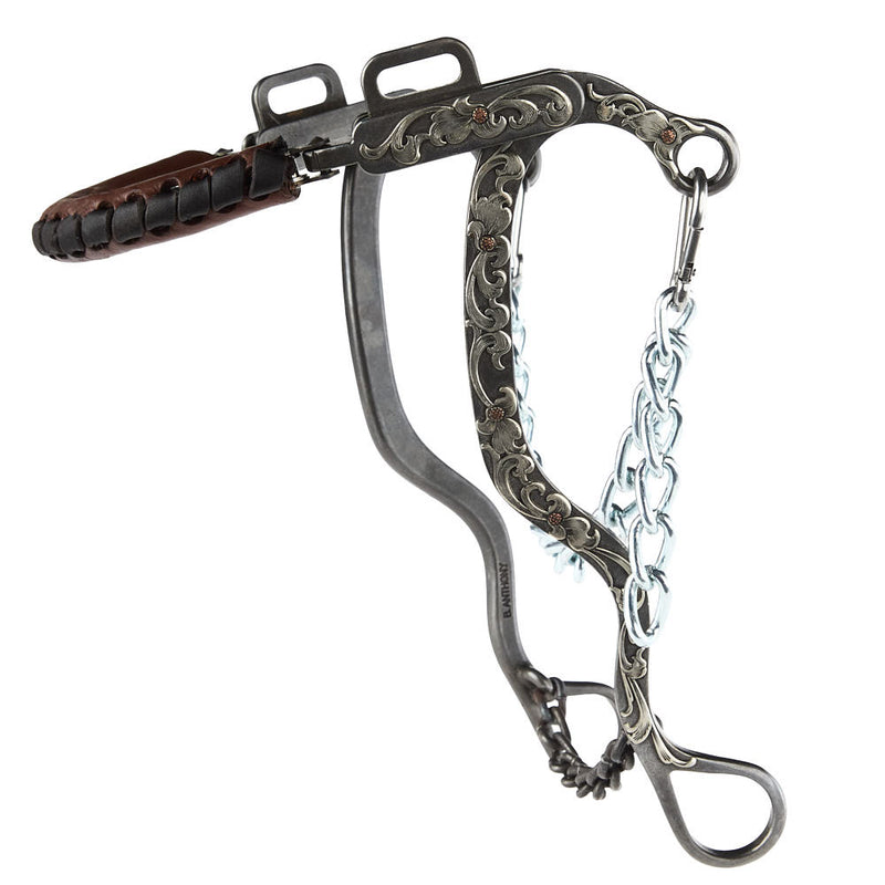 Brandon Anthony Bit & Spur Co. Engraved Silver Floral Long Shank Hackamore