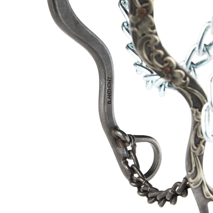 Brandon Anthony Bit & Spur Co. Engraved Silver Floral Long Shank Hackamore