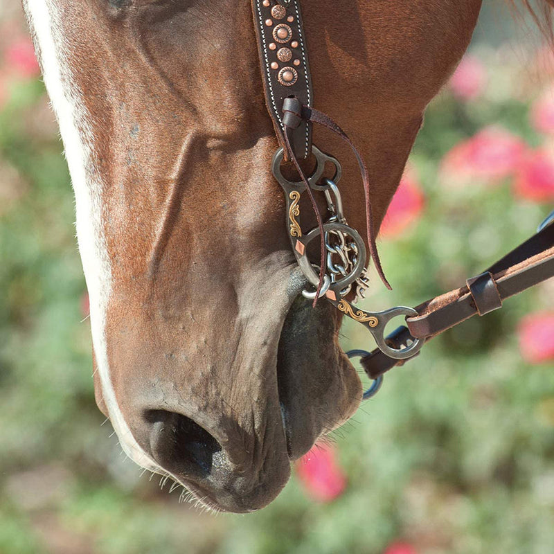 Classic Equine Sherry Cervi Twisted Wire Dogbone Diamond Short Shank Gag Bit