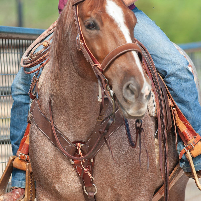Martin Saddlery 2 3/4in Chocolate Roughout Breast Collar