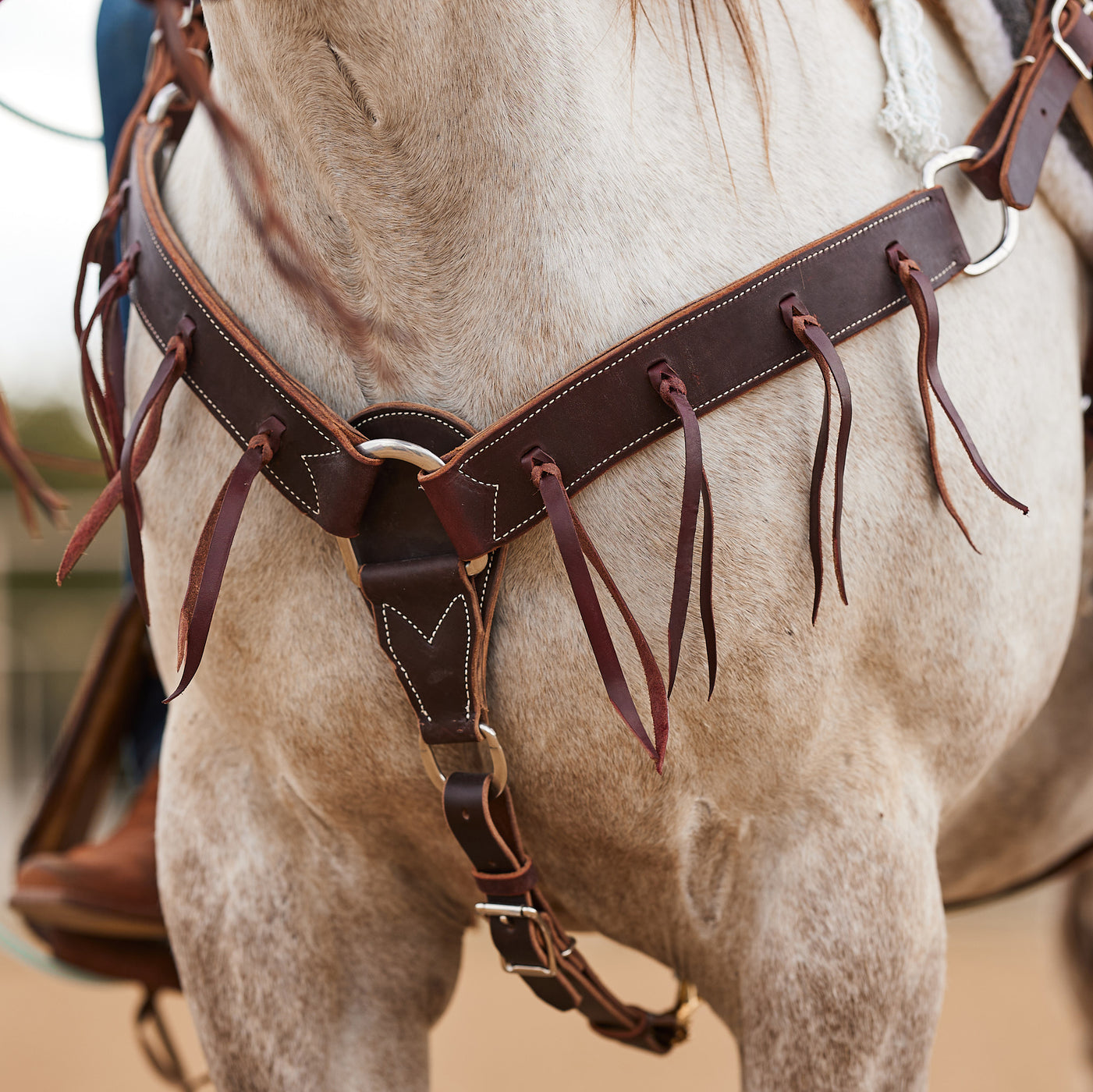 Bavoir D'équitation Western En Cuir - Marron Chocolat 1 1/4, Avec Lacets Latigo
